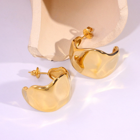 6E2007260vbnb-334  Stainless Steel Earrings