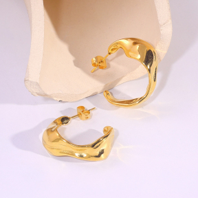 6E2007261vbnb-334  Stainless Steel Earrings
