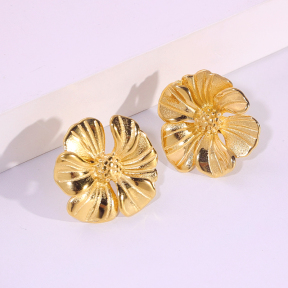 6E2007262vbnb-334  Stainless Steel Earrings
