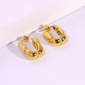 6E2007264vbnb-334  Stainless Steel Earrings