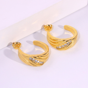 6E2007265vbnb-334  Stainless Steel Earrings