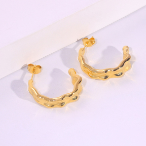 6E2007266vbnb-334  Stainless Steel Earrings