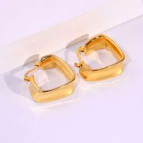 6E2007267vbnb-334  Stainless Steel Earrings