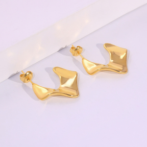 6E2007270vbnb-334  Stainless Steel Earrings