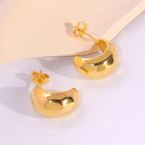 6E2007272vbnb-334  Stainless Steel Earrings