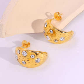 6E2007273bbov-334  Stainless Steel Earrings