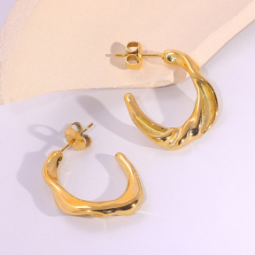 6E2007274vbnb-334  Stainless Steel Earrings