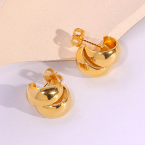 6E2007275vbnb-334  Stainless Steel Earrings
