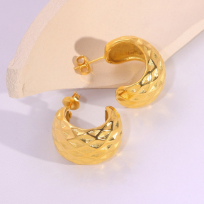 6E2007278vbnb-334  Stainless Steel Earrings
