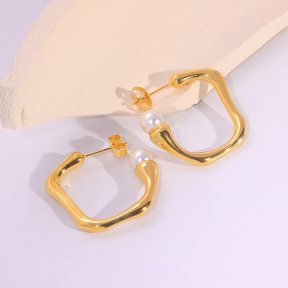 6E2007279vbnb-334  Stainless Steel Earrings