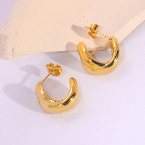 6E2007280vbnb-334  Stainless Steel Earrings