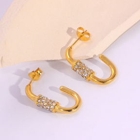 6E2007281vbnb-334  Stainless Steel Earrings