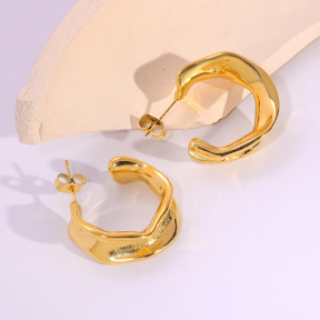 6E2007282vbnb-334  Stainless Steel Earrings