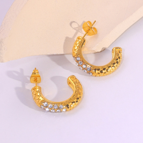 6E2007283bbov-334  Stainless Steel Earrings