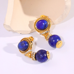 6E2007284bbov-334  Stainless Steel Earrings