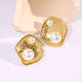6E2007285vbnb-334  Stainless Steel Earrings