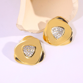 6E2007286vbnb-334  Stainless Steel Earrings