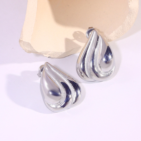 6E2007287vbmb-334  Stainless Steel Earrings