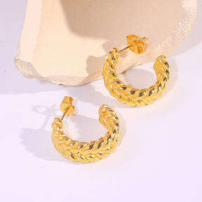 6E2007288vbnb-334  Stainless Steel Earrings