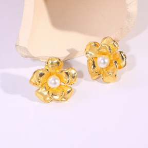 6E2007289vbnb-334  Stainless Steel Earrings