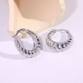 6E2007290vbnb-334  Stainless Steel Earrings