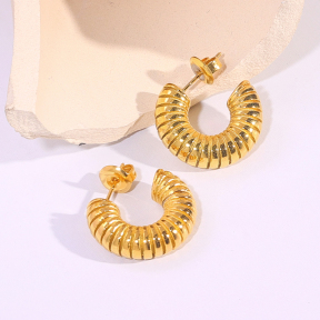 6E2007292vbnb-334  Stainless Steel Earrings