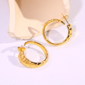 6E2007293vbnb-334  Stainless Steel Earrings