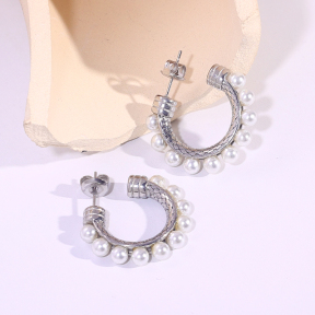 6E2007294bbov-334  Stainless Steel Earrings