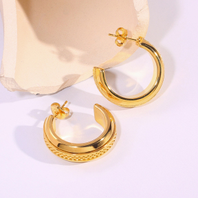 6E2007295vbnb-334  Stainless Steel Earrings
