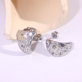 6E2007297vbnb-334  Stainless Steel Earrings