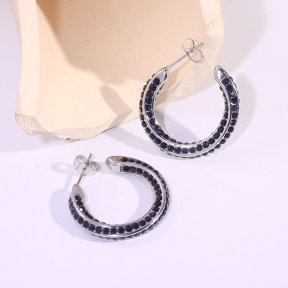 6E2007298bbov-334  Stainless Steel Earrings