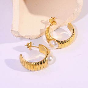 6E2007299vbnb-334  Stainless Steel Earrings