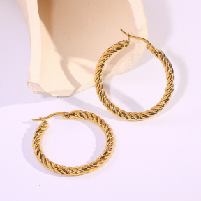 6E2007300vbnb-334  Stainless Steel Earrings