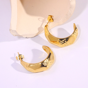 6E2007301vbnb-334  Stainless Steel Earrings