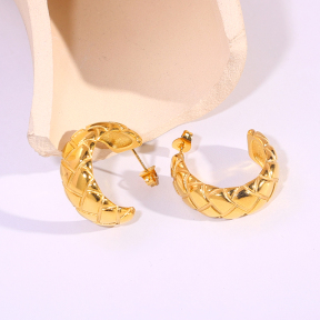 6E2007302vbnb-334  Stainless Steel Earrings