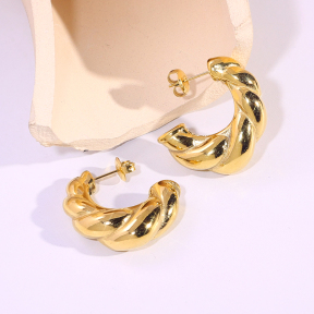 6E2007303vbnb-334  Stainless Steel Earrings