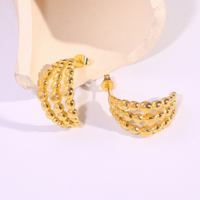 6E2007304vbnb-334  Stainless Steel Earrings