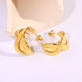 6E2007305vbnb-334  Stainless Steel Earrings