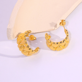 6E2007308vbnb-334  Stainless Steel Earrings