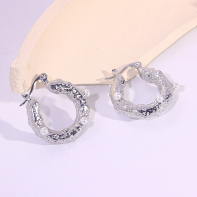 6E2007309vbnb-334  Stainless Steel Earrings