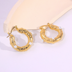 6E2007310bbov-334  Stainless Steel Earrings