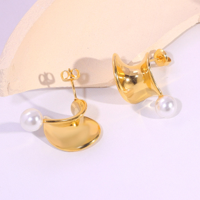 6E2007311vbnb-334  Stainless Steel Earrings