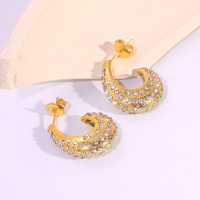 6E2007312bbov-334  Stainless Steel Earrings
