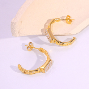 6E2007314bbov-334  Stainless Steel Earrings