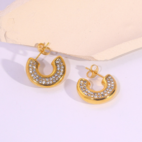 6E2007315bbov-334  Stainless Steel Earrings