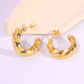 6E2007317vbnb-334  Stainless Steel Earrings