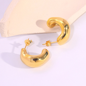 6E2007318vbnb-334  Stainless Steel Earrings