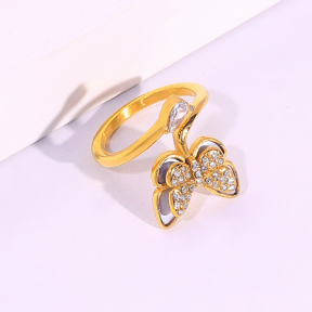 6R2001409bbov-334  Stainless Steel Ring