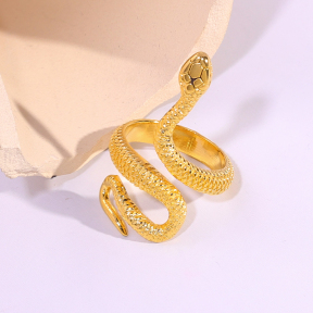 6R2001536bbov-334  Stainless Steel Ring