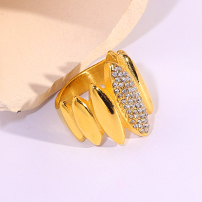6R2001554vbpb-334  Stainless Steel Ring